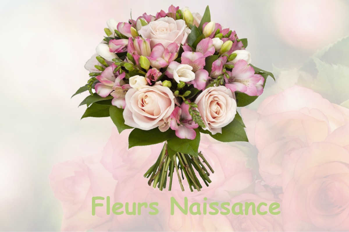 fleurs naissance MONTCLAR-DE-COMMINGES