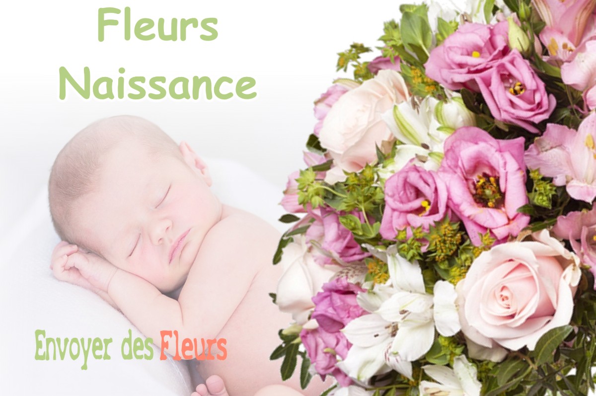 lIVRAISON FLEURS NAISSANCE à MONTCLAR-DE-COMMINGES